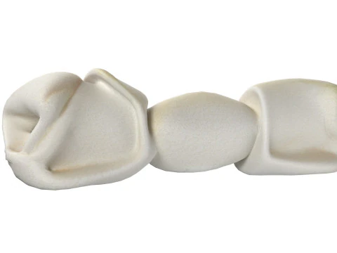 Don bone chewable 3D Model