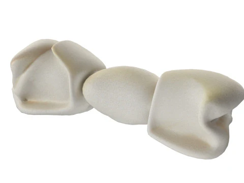 Dog Accessories collection 3D Model