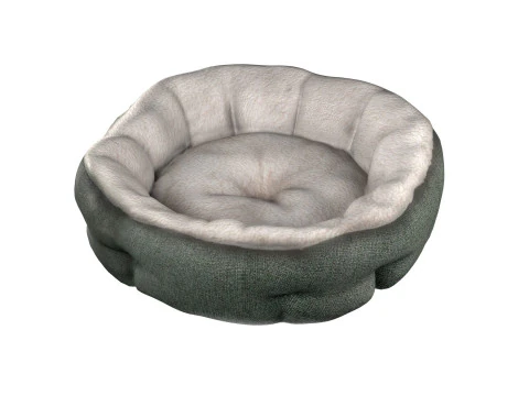 Dog Accessories collection 3D Model