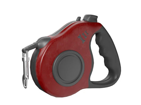 Dog Accessories collection 3D Model