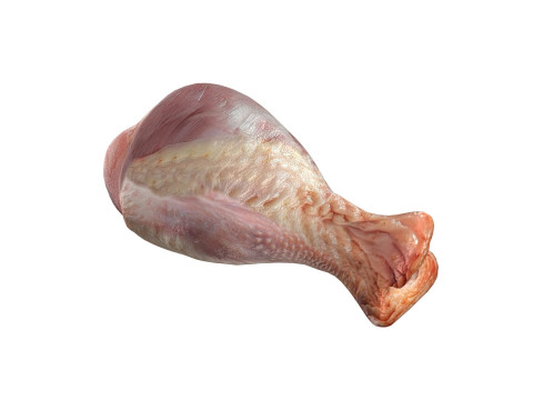 Chicken drumstick raw v1 3D 模型