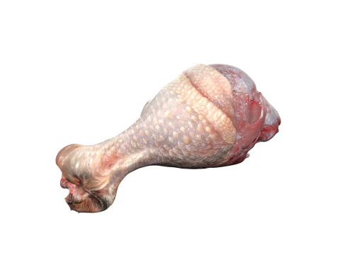 Chicken drumstick raw v2 3D Model