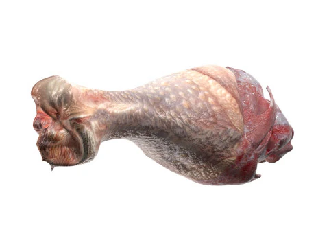 Chicken drumstick raw v2 3D Model