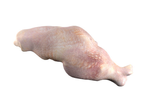 Chicken drumstick raw v3 3D Model