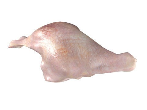 Chicken drumstick raw v3 Modelo 3D