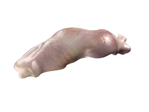 Chicken drumstick raw v3 Modelo 3D