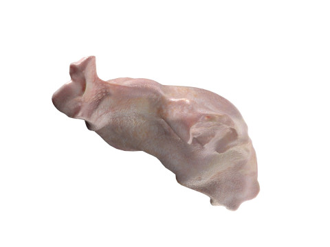 Chicken drumstick raw v3 Modelo 3D