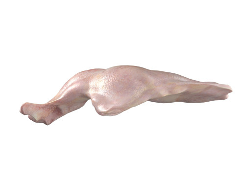 Chicken drumstick raw v3 Modelo 3D