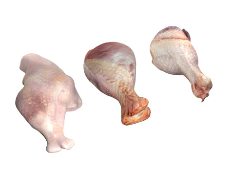 Chicken drumstick raw type 3 Model 3D