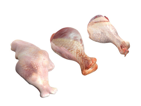 Chicken drumstick raw type 3 Model 3D