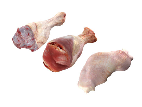 Chicken drumstick raw type 3 Model 3D