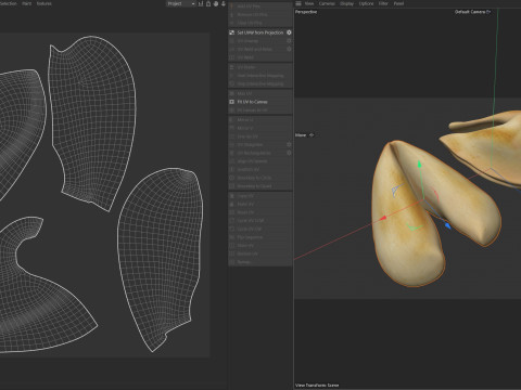 Fortune cookie Modello 3D