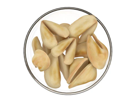 Fortune cookie bowl 3D Model