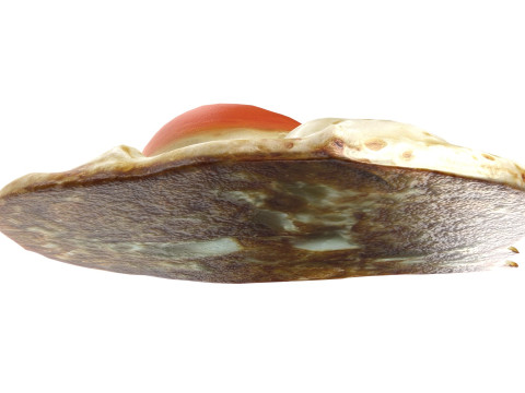 Fired egg v1 Model 3D