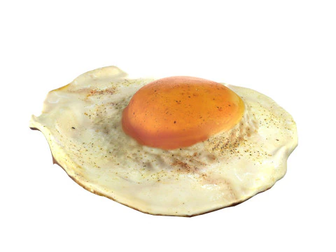 Fired egg v2 3D Model