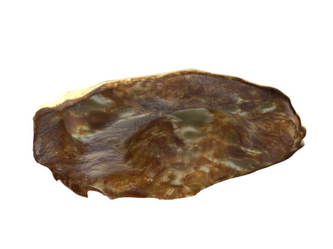 Fired egg v2 Modelo 3D
