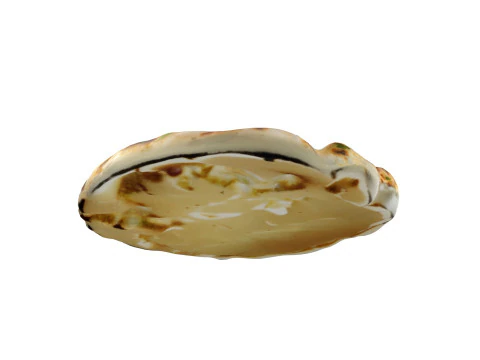 Naan indiano Modelo 3D