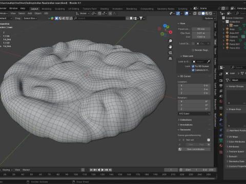 Naan indiano Modelo 3D