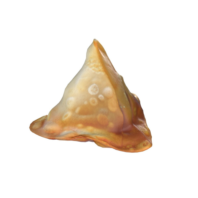 Samosa 3D मॉडल .c4d .max .obj .3ds .fbx .stl .blend