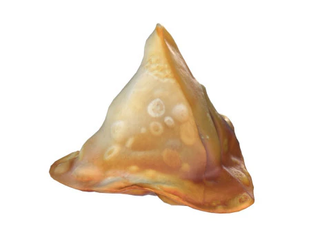 Samosa Modelo 3D