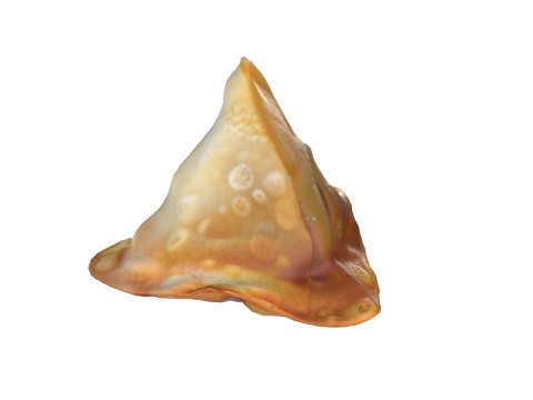 Samosa 3D मॉडल