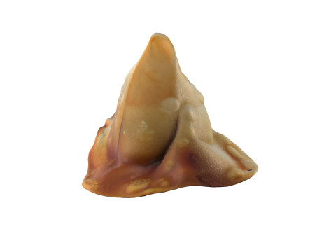 Samosa 3D मॉडल