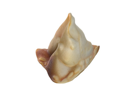 Samosa 3D मॉडल