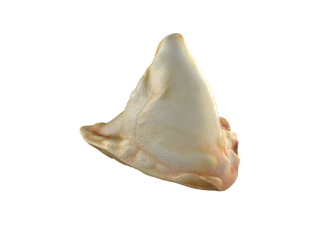 Samosa 3D मॉडल