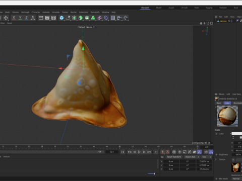 Samosa 3D मॉडल
