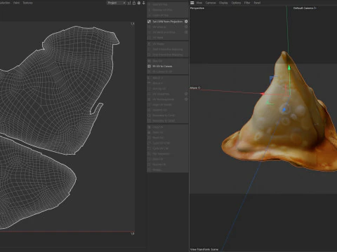 Samosa 3D Model