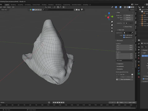 Samosa 3D Model