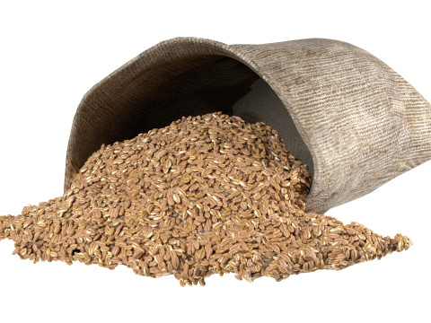 Wheat sack 3D Model