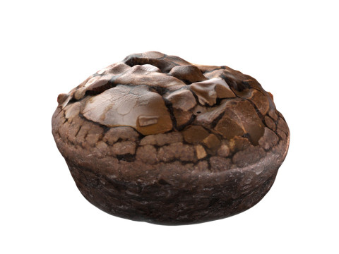 Brownie 5 3D Model