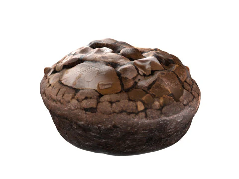 Brownie 5 3D Model