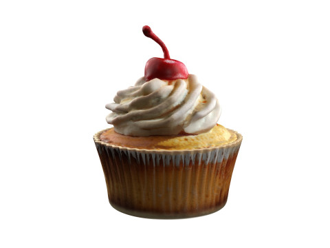 Muffin 14 3D Model