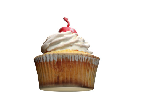 Muffin 14 3D Model
