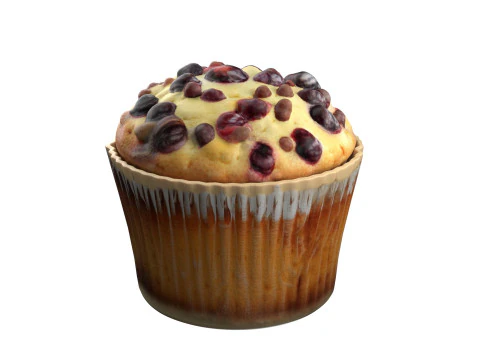 Muffin 19 3D Model