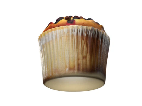 Muffin 19 3D Model