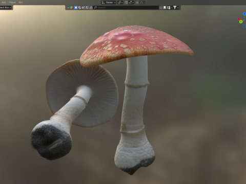 Mushroom 1 3D Model