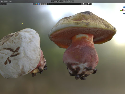 Cogumelo 2 Modelo 3D