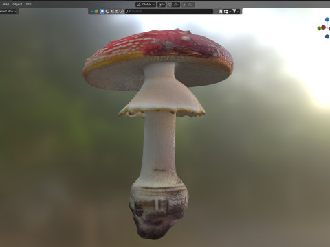 Mushroom 3 Model 3D