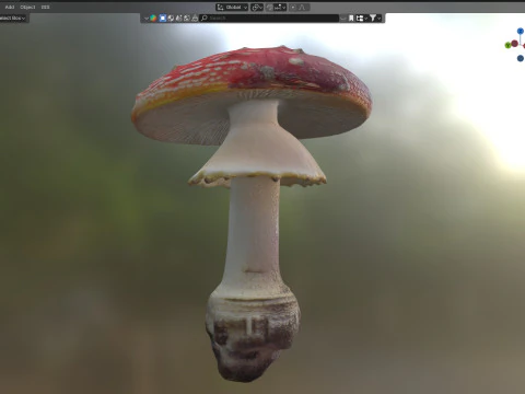 Mushroom 3 3D Model
