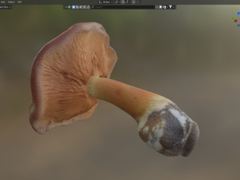 Mushroom 4 Modello 3D