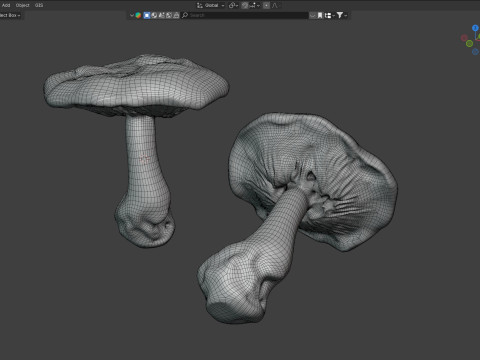 Mushroom 4 Modello 3D