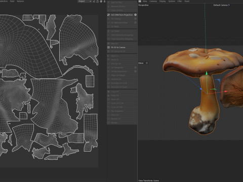 Mushroom 4 Modello 3D