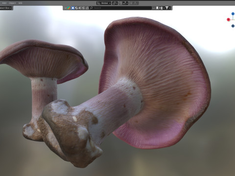 Mushroom 5 3D 모델