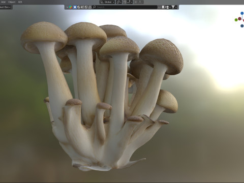 Mushroom 6 Modelo 3D