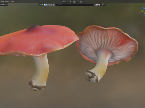 Mushroom 7 3D Model