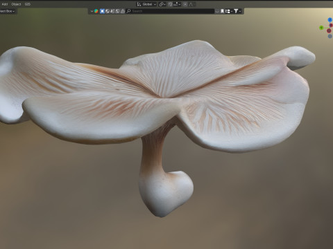 Mushroom 8 3D Model