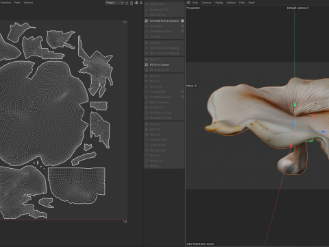 Mushroom 8 3D Model